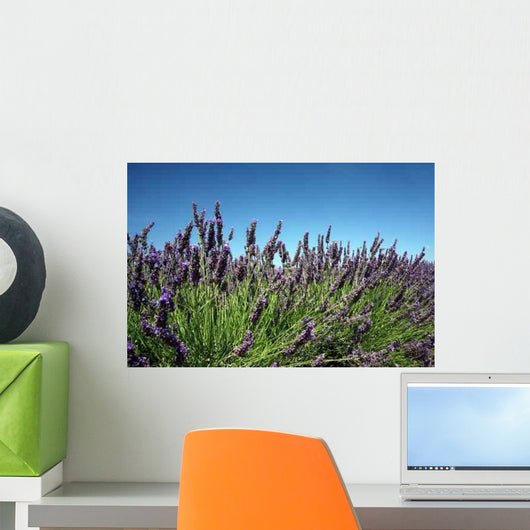 Lavender Bush Wall Decal