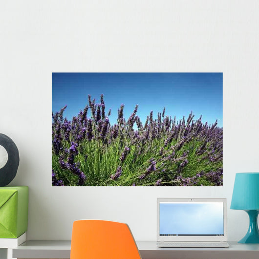Lavender Bush Wall Decal