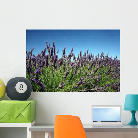 Lavender Bush Wall Decal