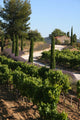 Landscape Provence Wall Decal