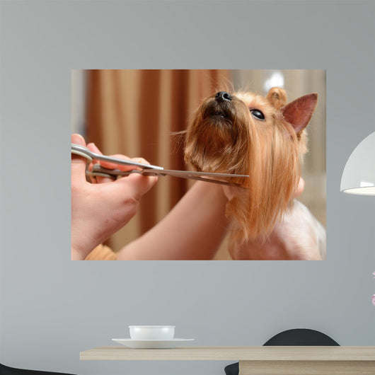Grooming Wall Decal