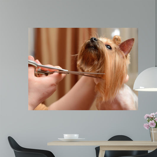 Grooming Wall Decal