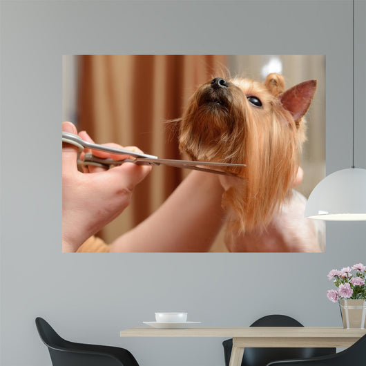 Grooming Wall Decal