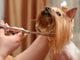 Grooming Wall Decal