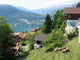 Swiss Alps Landscape Wall Decal