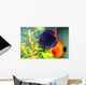 Blue and Orange Discus Wall Decal