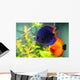 Blue and Orange Discus Wall Decal