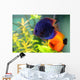 Blue and Orange Discus Wall Decal