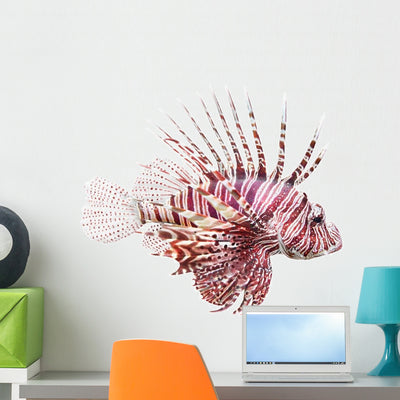 Tropical Red Lionfish Wall Decal shown on a wall
