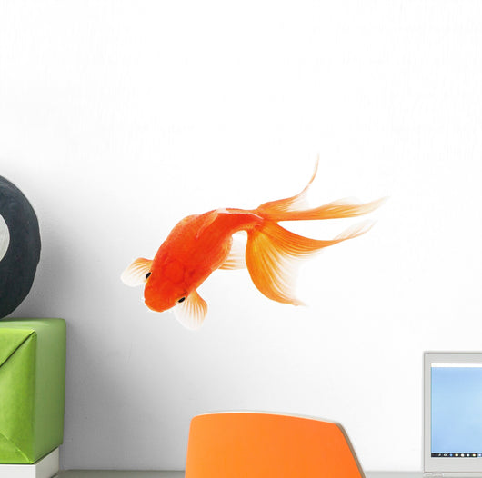 Goldfish White Wall Decal