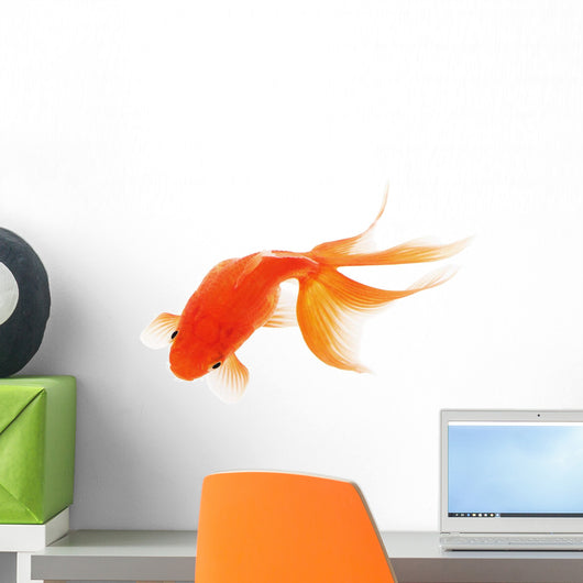Goldfish White Wall Decal