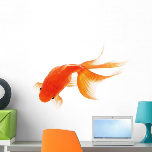 Goldfish White Wall Decal