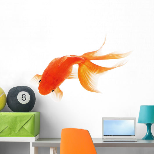 Goldfish White Wall Decal