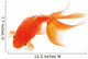 Goldfish White Wall Decal