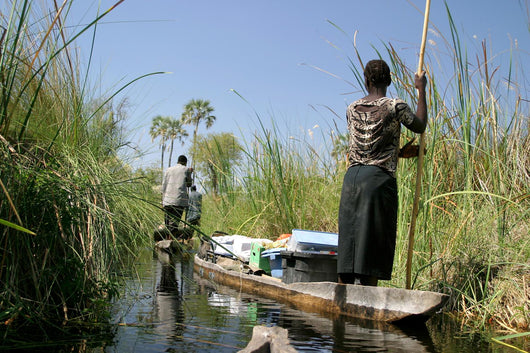 Okavango Delta Wall Decal
