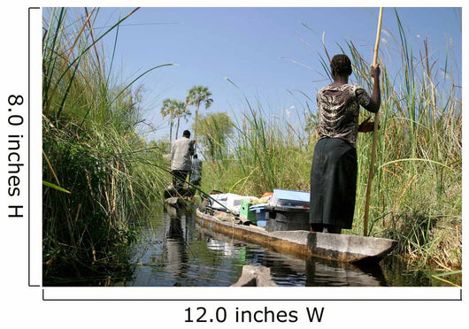 Okavango Delta Wall Decal