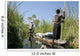 Okavango Delta Wall Decal