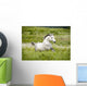 Arab Horse Runs Free Wall Decal
