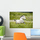 Arab Horse Runs Free Wall Decal