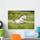 Arab Horse Runs Free Wall Decal