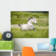 Arab Horse Runs Free Wall Decal