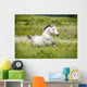 Arab Horse Runs Free Wall Decal