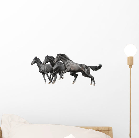 Three Black Horses White Wall Decal