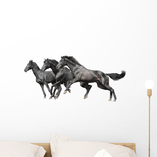 Three Black Horses White Wall Decal