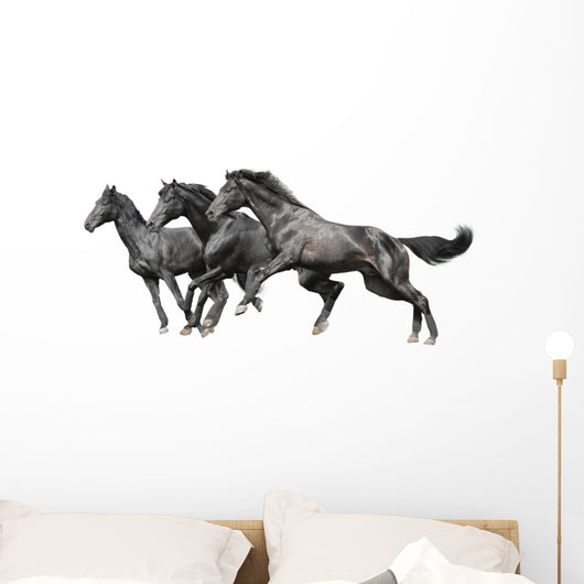 Three Black Horses White Wall Decal