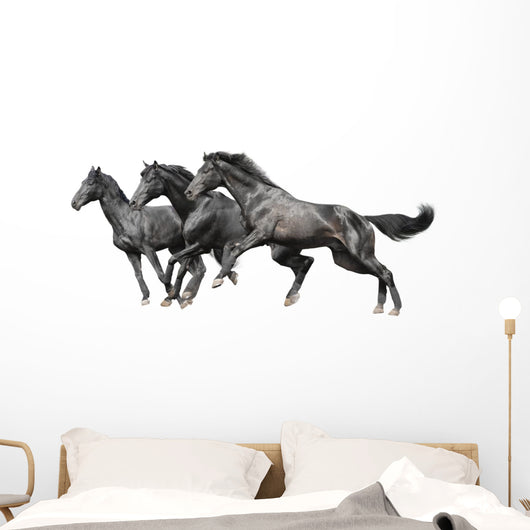 Three Black Horses White Wall Decal