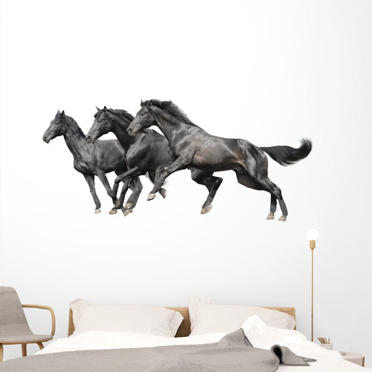Three Black Horses White Wall Decal