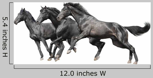 Three Black Horses White Wall Decal