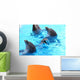 Smiling Dolphin Wall Decal