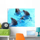 Smiling Dolphin Wall Decal