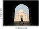Unusual Sight Taj Mahal Wall Decal