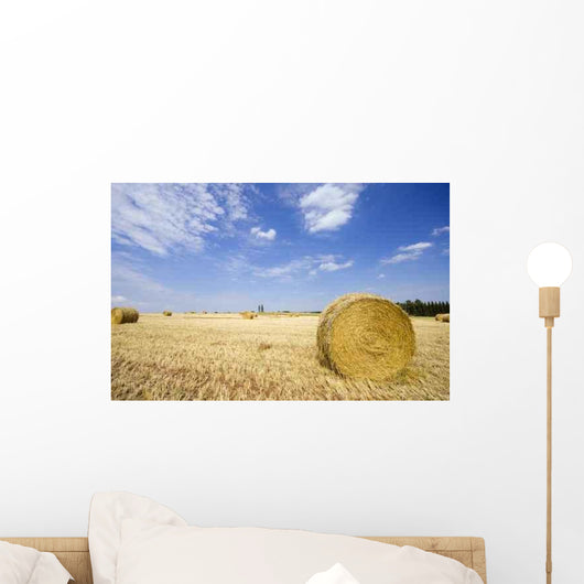 Feld Mit Heurollen Wall Decal