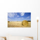 Feld Mit Heurollen Wall Decal