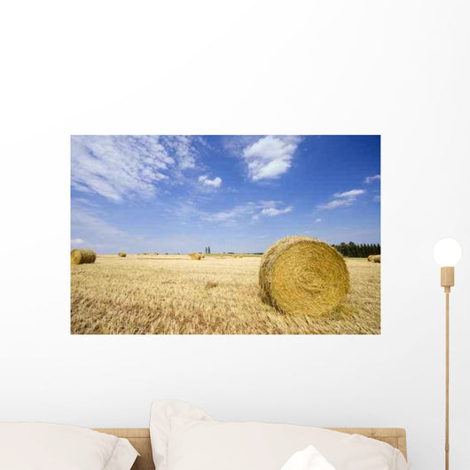 Feld Mit Heurollen Wall Decal