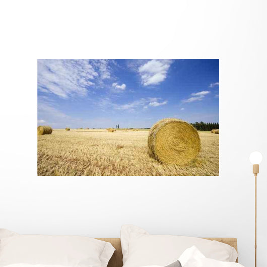 Feld Mit Heurollen Wall Decal
