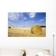 Feld Mit Heurollen Wall Decal