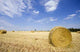 Feld Mit Heurollen Wall Decal