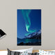 Aurora Borealis Norway Reflected Wall Decal