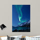 Aurora Borealis Norway Reflected Wall Decal