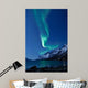 Aurora Borealis Norway Reflected Wall Decal