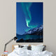 Aurora Borealis Norway Reflected Wall Decal