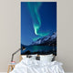 Aurora Borealis Norway Reflected Wall Decal