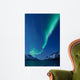 Aurora Borealis between Fjords Wall Decal