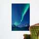 Aurora Borealis between Fjords Wall Decal