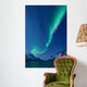 Aurora Borealis between Fjords Wall Decal