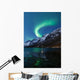 Northern Lights Aurora Borealis Wall Decal